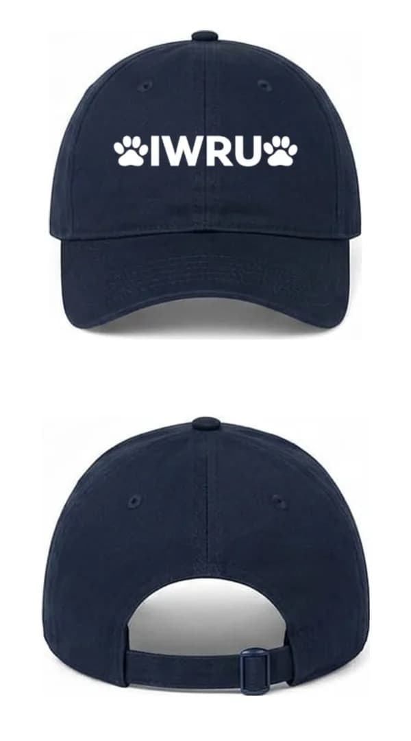 Cap — front